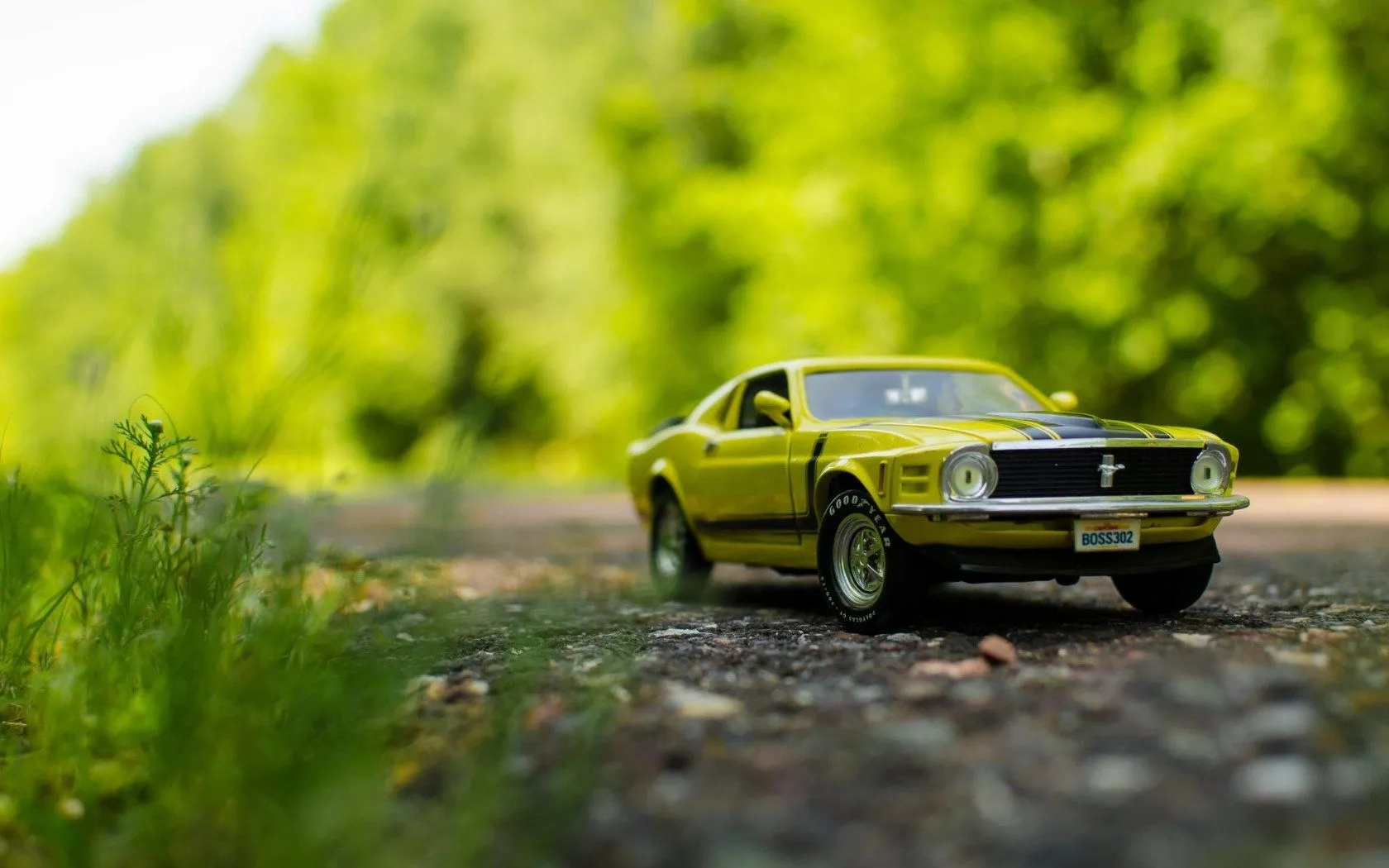 53996 denver diecast cars shop exterior