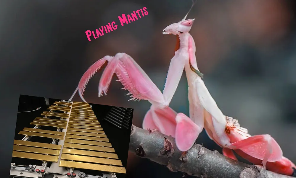 54068 playing mantis diecast models